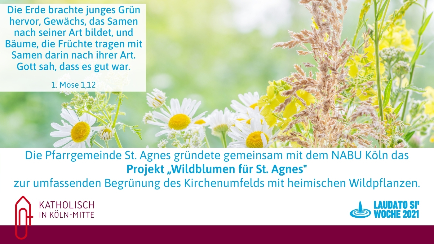 Laudato Si Woche Mittwoch