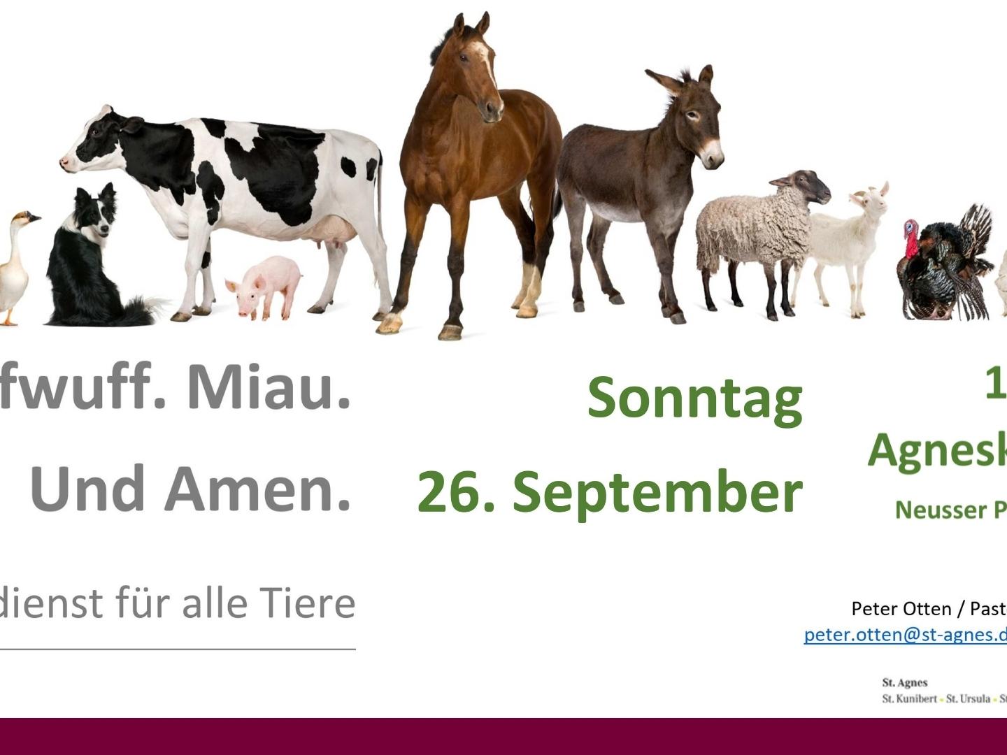 Einladung Haustiergottesdienst 26.09.2021 in St. Agnes