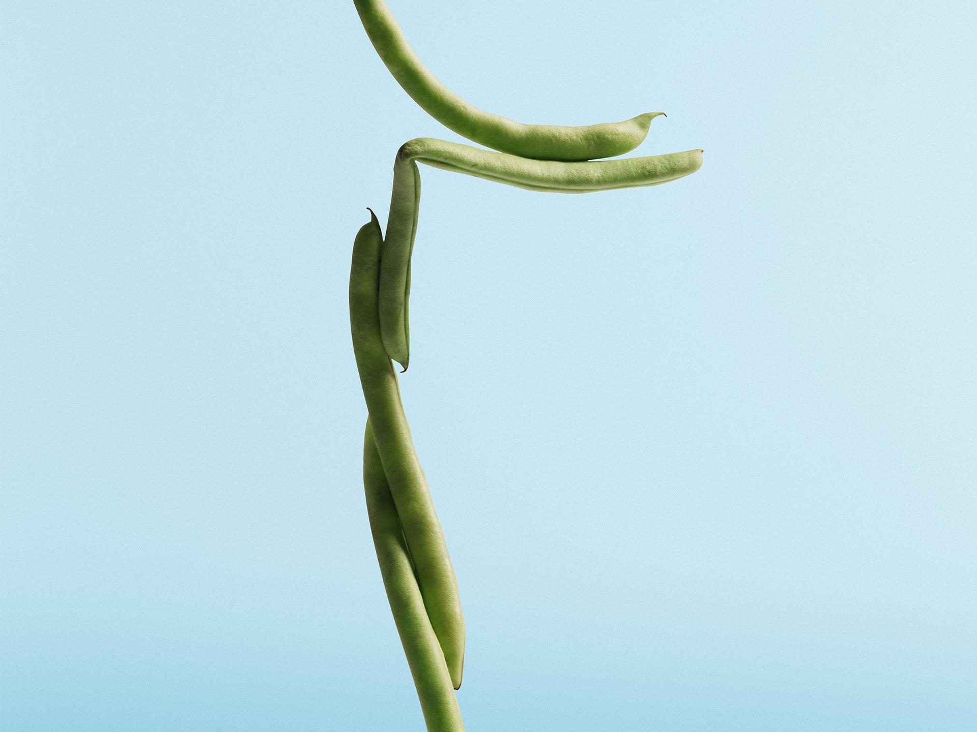 2026 zemf © Good Enough-zamus_001064_web