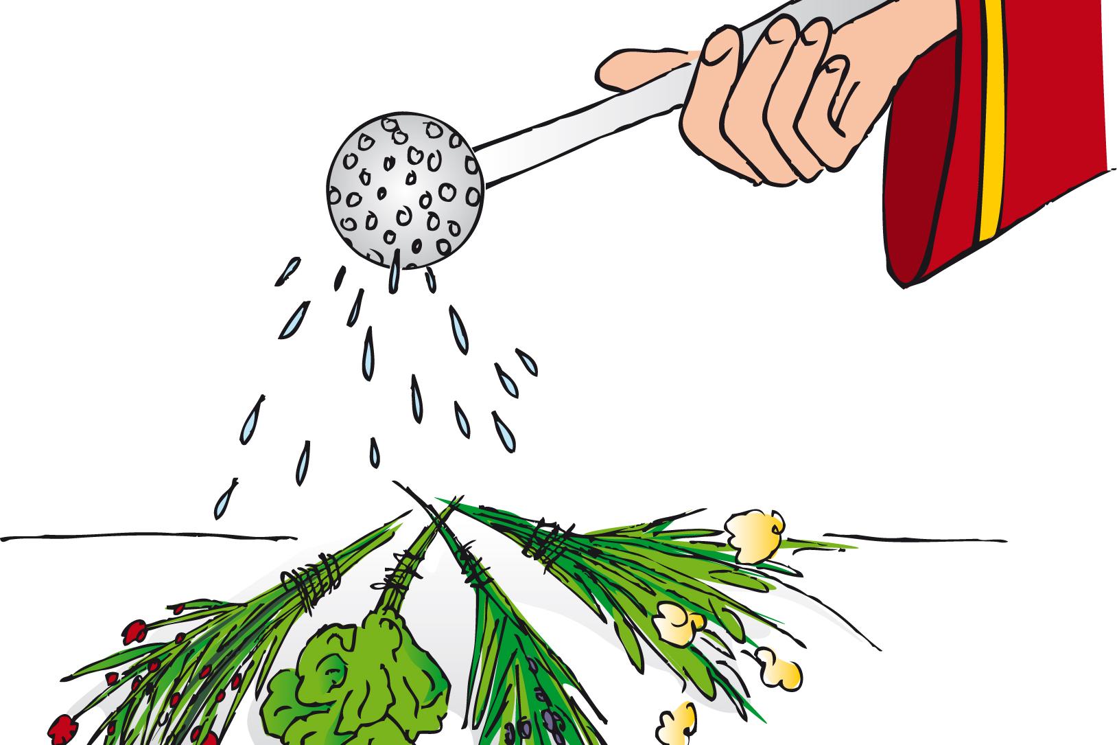 5757_pbs_kraeuterweihe_farbig