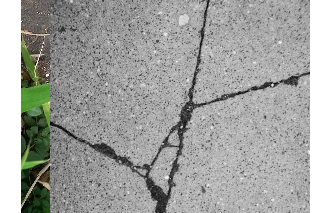 Christiane Zabinski- Ausstellung Gertrud 2026