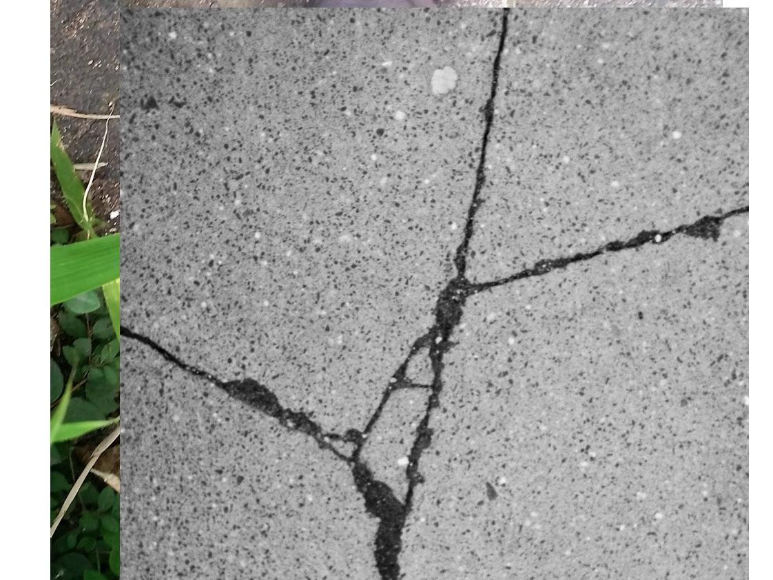 Christiane Zabinski- Ausstellung Gertrud 2026