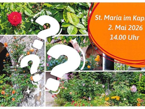 Gartenquiz Kapitol Kreuzgang